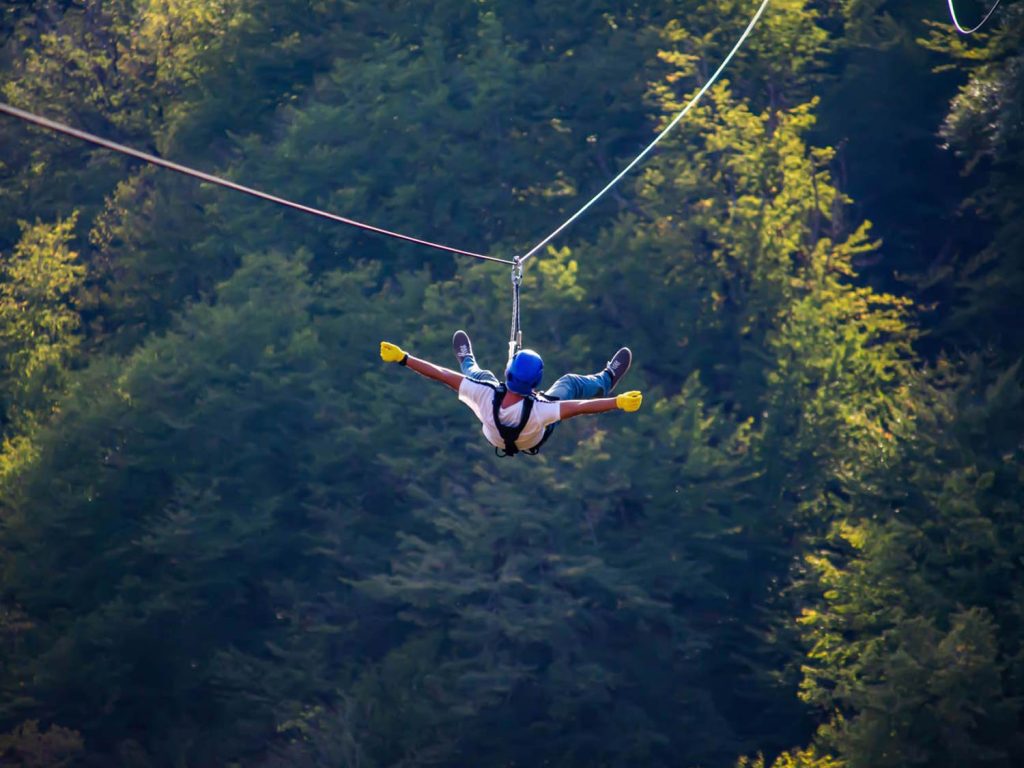 Jungle Adventure Park: adrenaline and fun among the trees